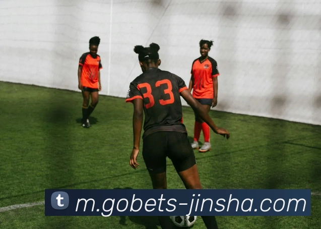 澳门金沙官网平台生态图